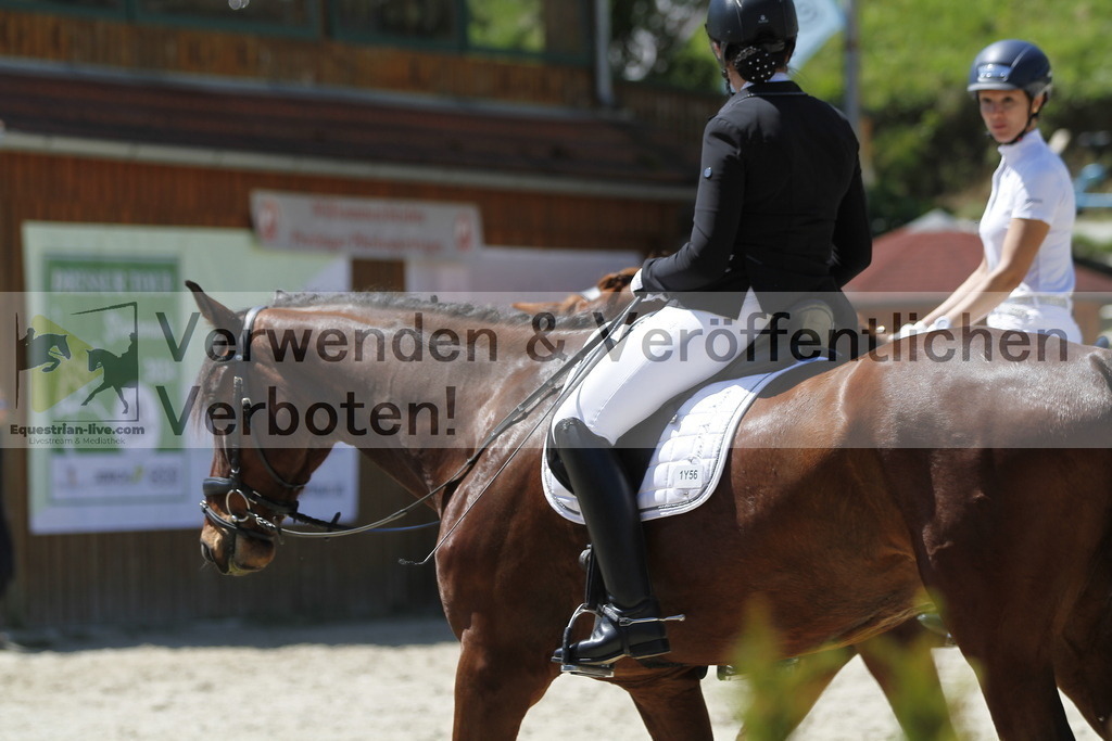_MG_4905 | equestrian-live-com