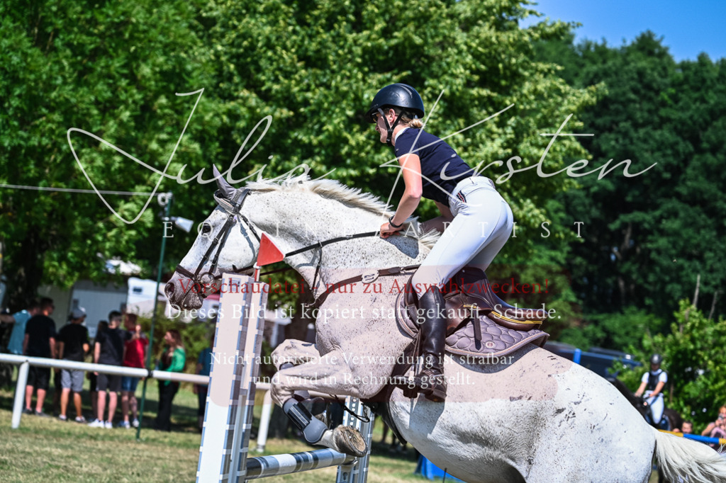 DSC_1102 | Pferde- und Turnierfotografie in Westsachsen. Pferdeportraits, Auftragszeichnungen und intuitive Kunst.