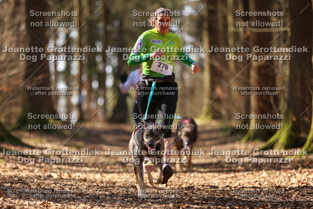 Dog Paparazzi - VCC26-1190 | Dog Paparazzi Jeanette Grottendiek Fotografie & Videografie - Realisiert mit Pictrs.com