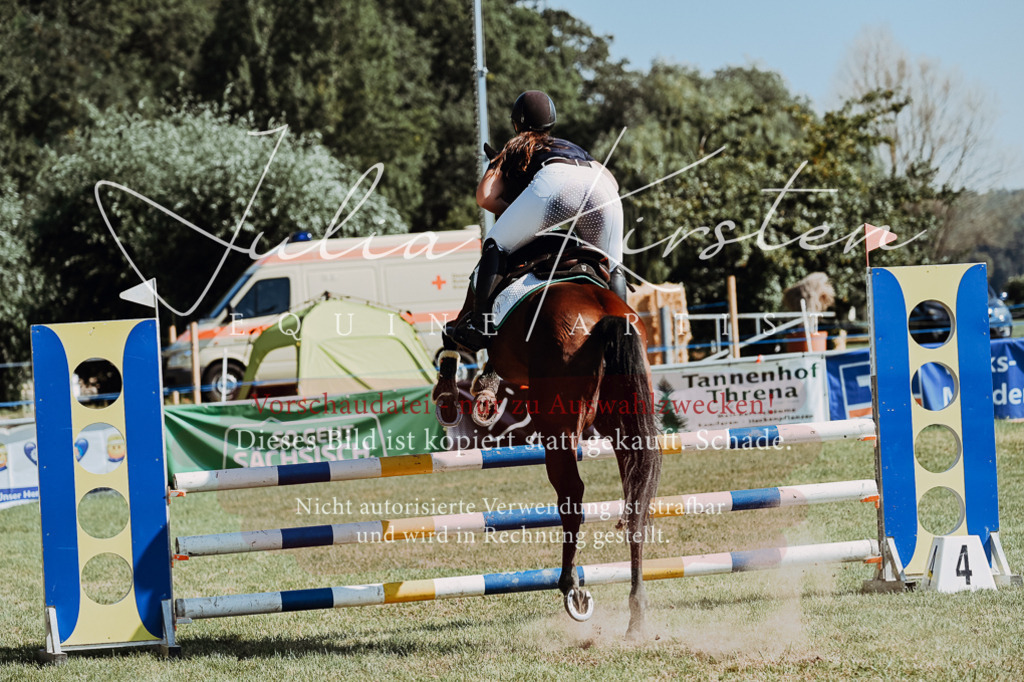 DSC_5707 | Pferde- und Turnierfotografie in Westsachsen. Pferdeportraits, Auftragszeichnungen und intuitive Kunst.