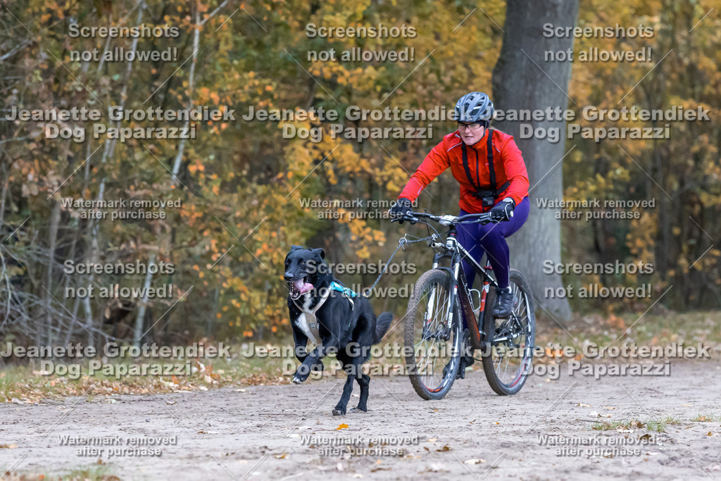 Dog Paparazzi - SD CaniX Championship 2025-232 | Dog Paparazzi Jeanette Grottendiek Fotografie & Videografie - Realisiert mit Pictrs.com