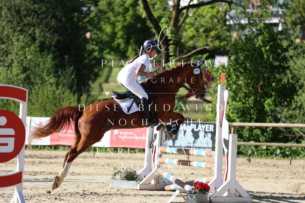 IMGS5649 | pl-fotografie