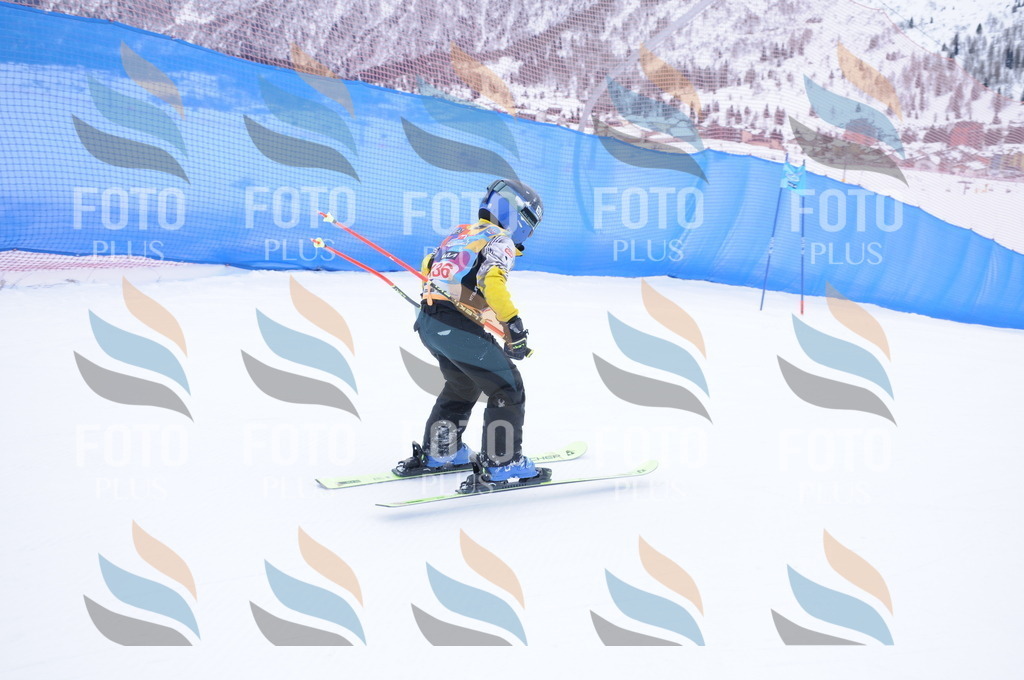 DSC_8640 | holidayphoto