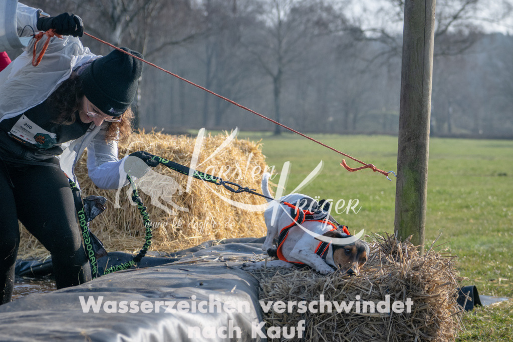 _ZZ92340 | kk-dogfotos