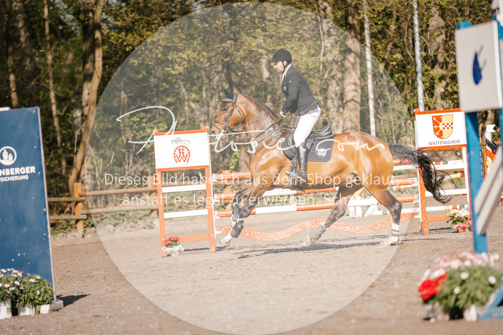 3I6A3682 | Stimmungsvolle Portraits und Reitsportfotografie im Ruhrgebiet und im Münsterland.

Pferdefotografie, Hundefotografie, Tierfotografie, Reportagen, Portraits von Tier und Mensch, Turnierfotografie in Bochum, Recklinghausen, Marl, Haltern am See, Dülmen.. - Realisiert mit Pictrs.com