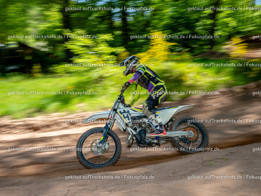 Fischbach-54 | Trackshots.de / Fokuspfalz.de - Realisiert mit Pictrs.com