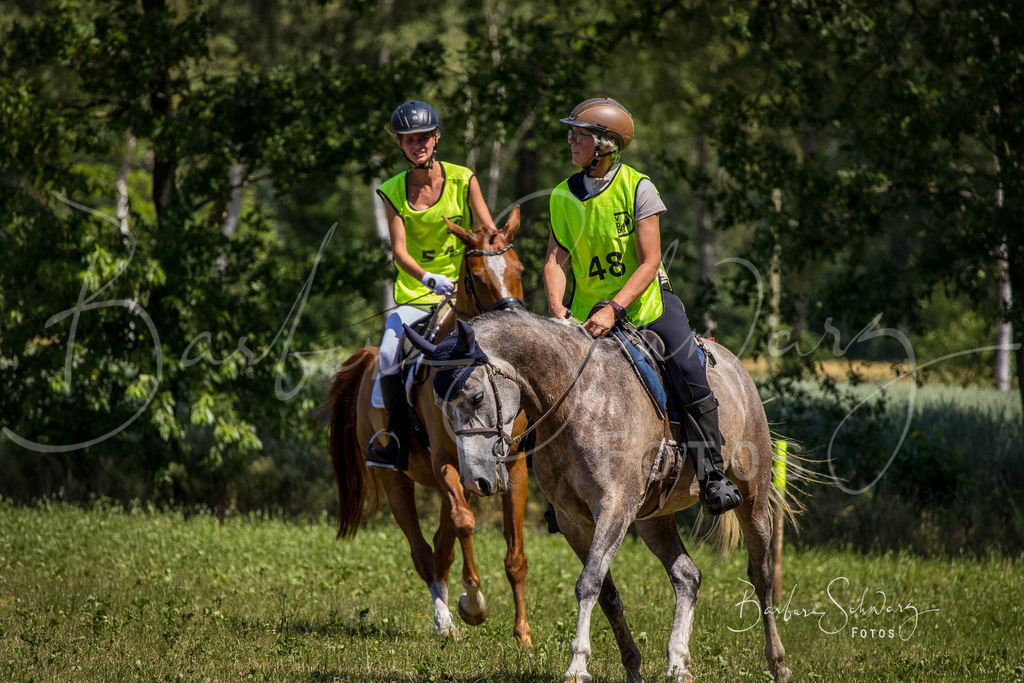 CJP_2026-06-26_26 | Stimmungsvolle Fotografie von Pferden, fotografische Begleitung von Veranstaltungen, Golfturnieren und Distanzritten - Realisiert mit Pictrs.com