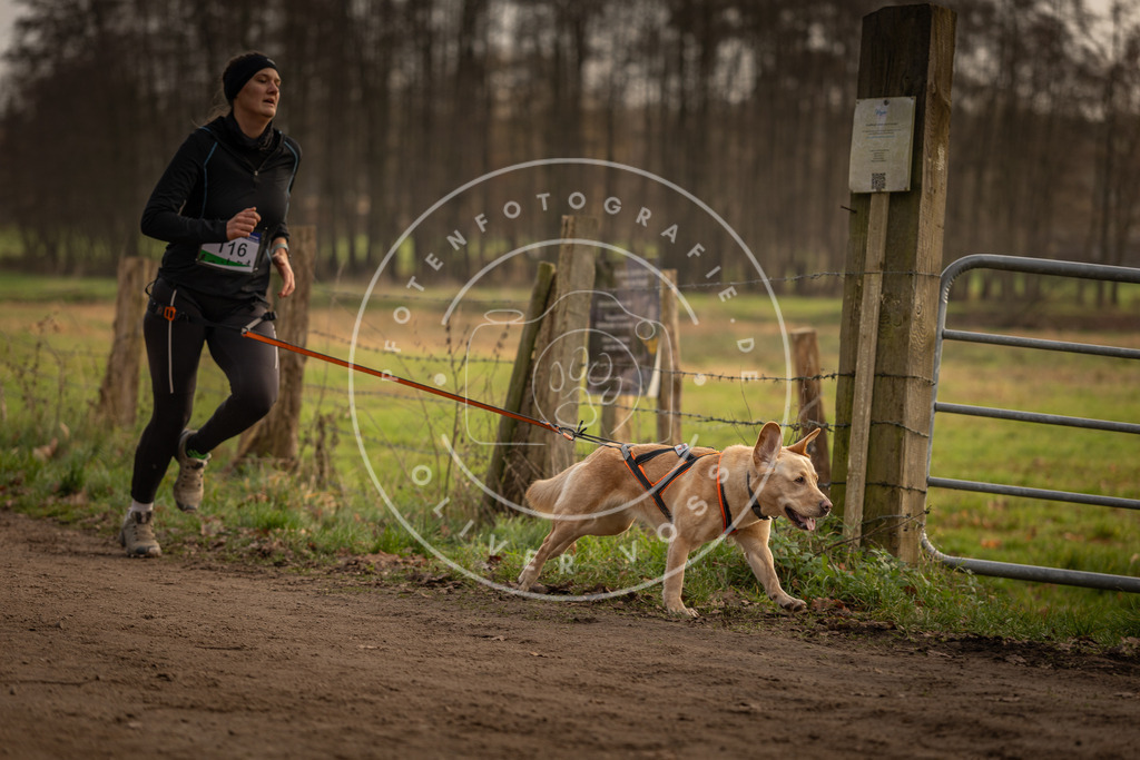 Pfotenfotografie_DV3A5260 | Hundefotografie, Tierfotograf, Pfotenfotografie, Fotoshooting Hund, Hunde Portrait, Hundesport, Hundeportraits, Heideshooting, Hunde, Sportfotograf, Hundefotograf, Turnierhundsport, THS,  - Realisiert mit Pictrs.com