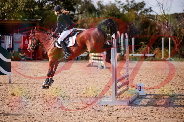 2026_10_03_Siefer-Hof_161028_Z81_90003066 | Professionelle Reitsport-, Turnier- und Eventfotografie von Robert Broda. Galerien mit ausgewählten und bearbeiteten Bildern direkt online ansehen und bestellen.