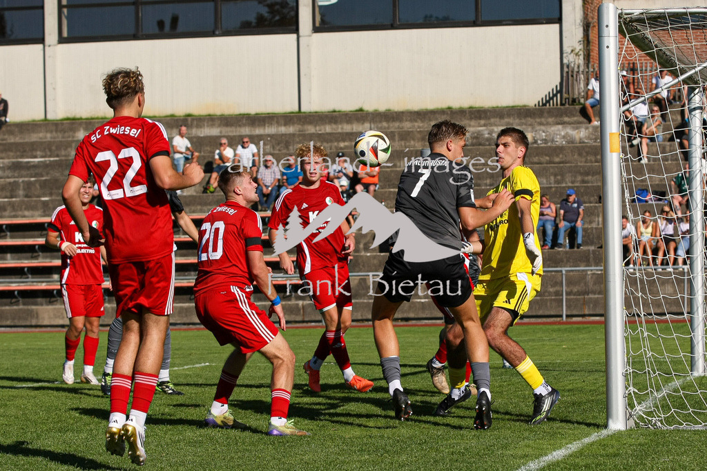 993T2184 | Medien- Sport- Entertainmentfotos