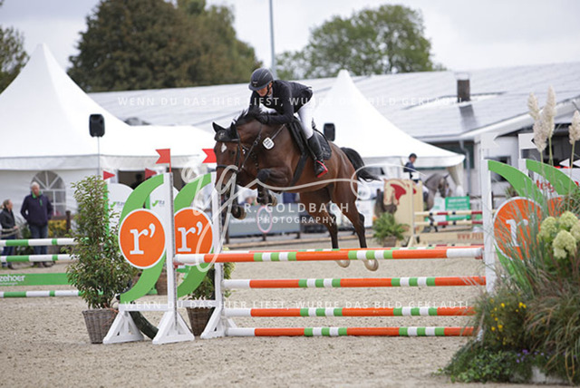 1J2A2175Britta Braunert_ Convolto PS_ Kn289_ Havekost | Foto- und Videografie für alles rund ums Pferd. Hochwertige Bilder und Videos vom Spring- und Dressurreiten, Voltigieren & mehr. Jetzt aktuelle Veranstaltungen und Preise im Shop ansehen. - Realisiert mit Pictrs.com