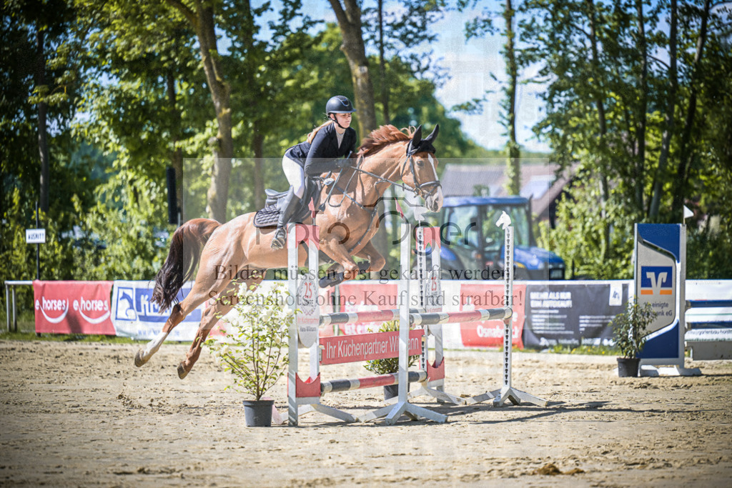 DOS_2051 | Entdecke hochwertige Reitturnierfotos von Foto Oger. Professionell, emotional und authentisch – jetzt Lieblingsmomente im Shop bestellen.Deutschlandweite Turnierfotografie. - Realisiert mit Pictrs.com