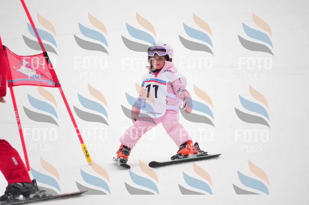 B8992 | holidayphoto