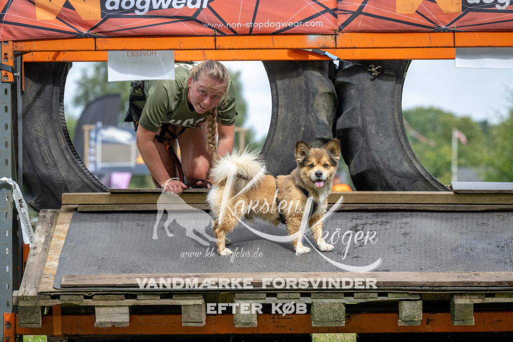 1152_ZZ93140 | kk-dogfotos