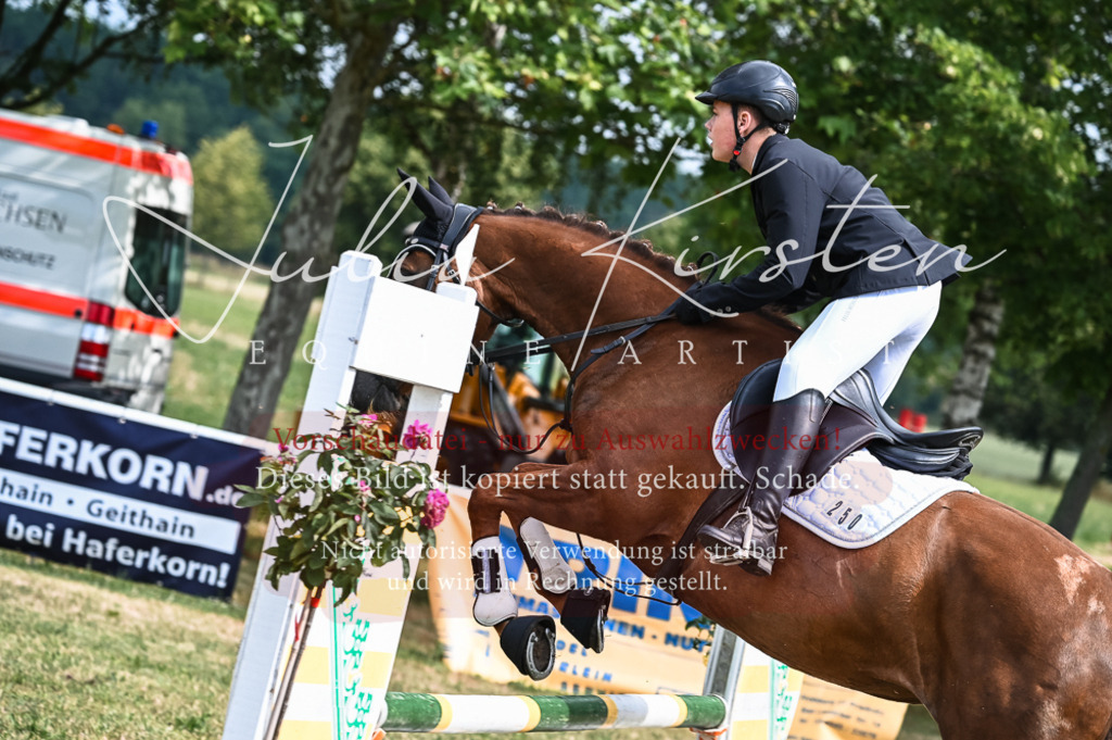 DSC_8177 | Pferde- und Turnierfotografie in Westsachsen. Pferdeportraits, Auftragszeichnungen und intuitive Kunst.