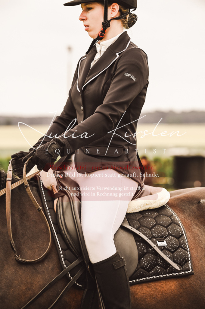 DSC_4957 | Pferde- und Turnierfotografie in Westsachsen. Pferdeportraits, Auftragszeichnungen und intuitive Kunst.