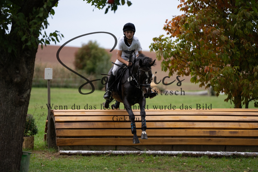 A7V03663 | Pferdefotograf