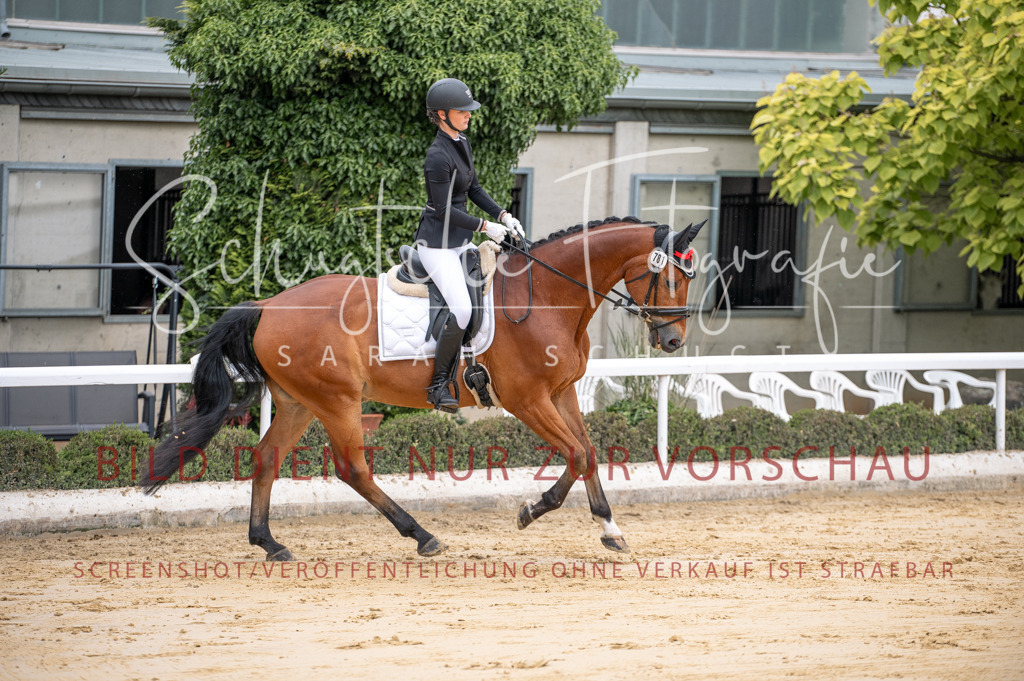 Schugtsche-Aluta25-41.Amat-Dressurprf.A_-86 | Schugtsche Fotografie - Realisiert mit Pictrs.com