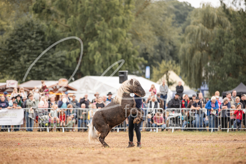 846A3746 | fotosleben - Realisiert mit Pictrs.com