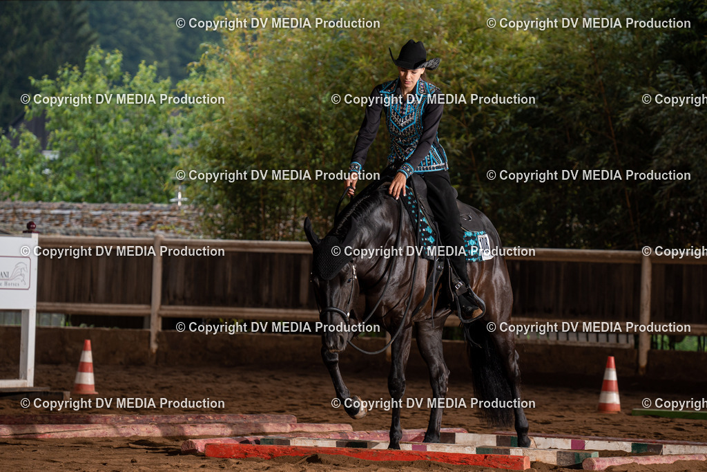 Erbach Tag 3-88 | dv-media-shop - Realisiert mit Pictrs.com