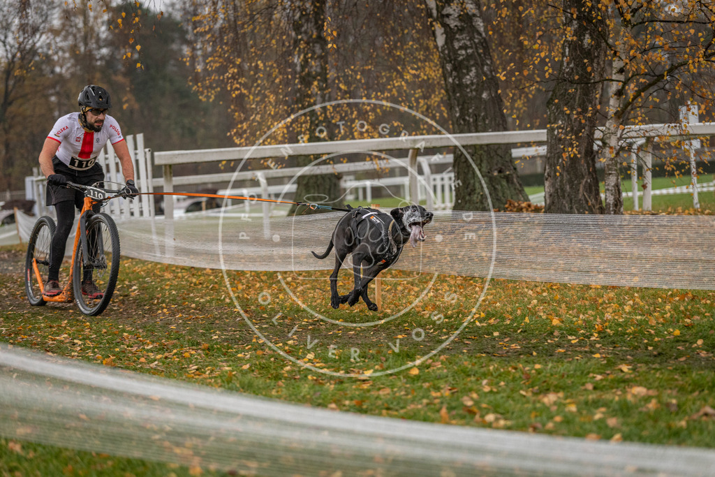 CaniXpix_DV3A7613 | Hundefotografie, Tierfotograf, Pfotenfotografie, Fotoshooting Hund, Hunde Portrait, Hundesport, Hundeportraits, Heideshooting, Hunde, Sportfotograf, Hundefotograf, Turnierhundsport, THS,  - Realisiert mit Pictrs.com