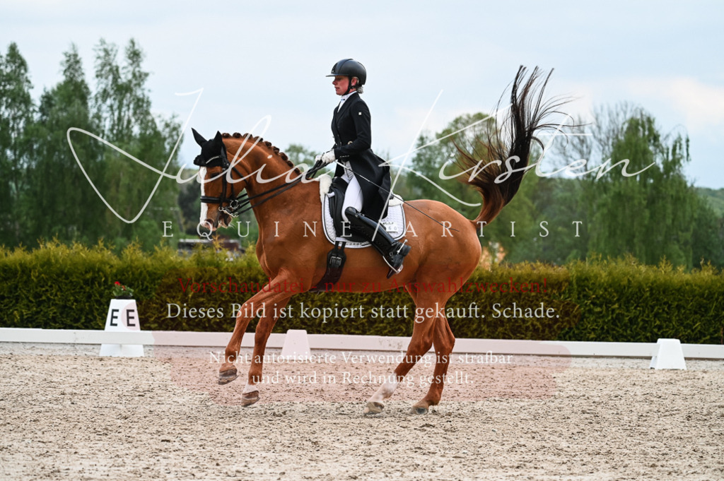 20230513_JK-Röhrsdorf-13-584 | Pferde- und Turnierfotografie in Westsachsen. Pferdeportraits, Auftragszeichnungen und intuitive Kunst.