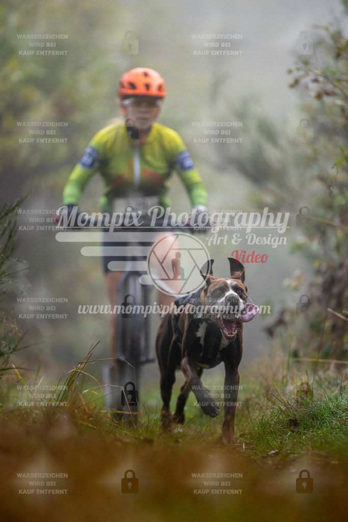 MompixPhotography_20TSB_E4_DS1-52 | PayLife
