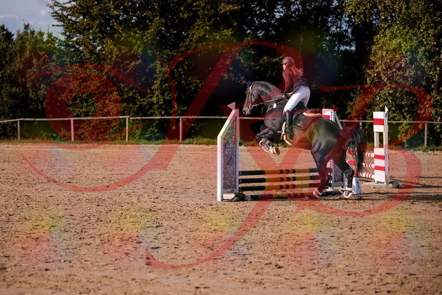2026_10_03_Siefer-Hof_154245_Z81_60410107 | Professionelle Reitsport-, Turnier- und Eventfotografie von Robert Broda. Galerien mit ausgewählten und bearbeiteten Bildern direkt online ansehen und bestellen.