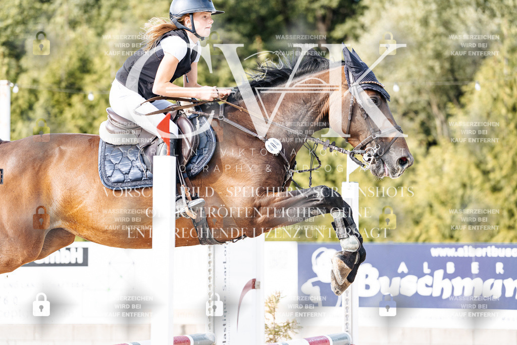 CK906212 | Turnierfotografie Pferdefotografie Trier Rheinland-Pfalz Pferdesport Reitsport Tierfotografie Sportfotografie Pferdevideo Pferdevideografie Equestrianvideography equestrianphotography  - Realisiert mit Pictrs.com