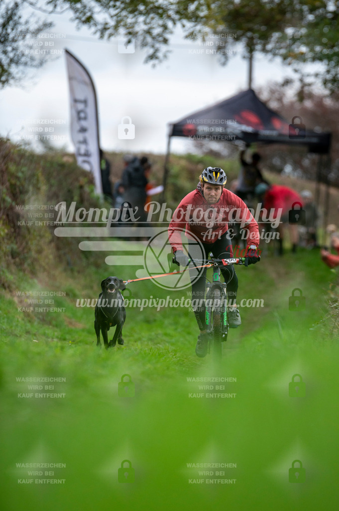 TSB_2023_E8_Bike-9 | PayLife