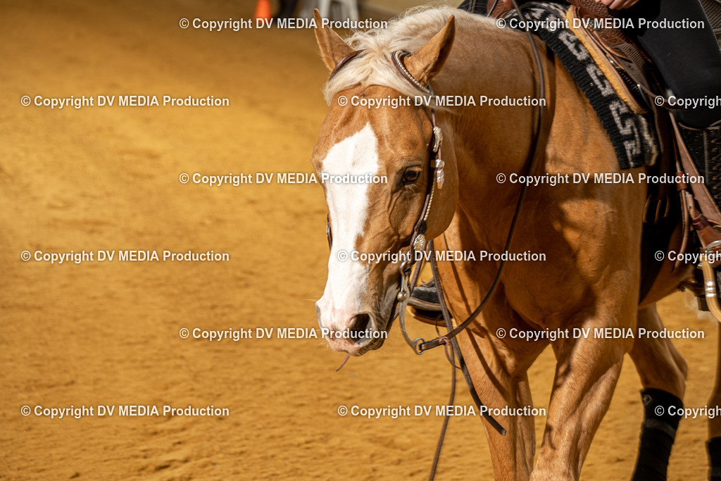 MIT00849 | dv-media-shop - Realisiert mit Pictrs.com