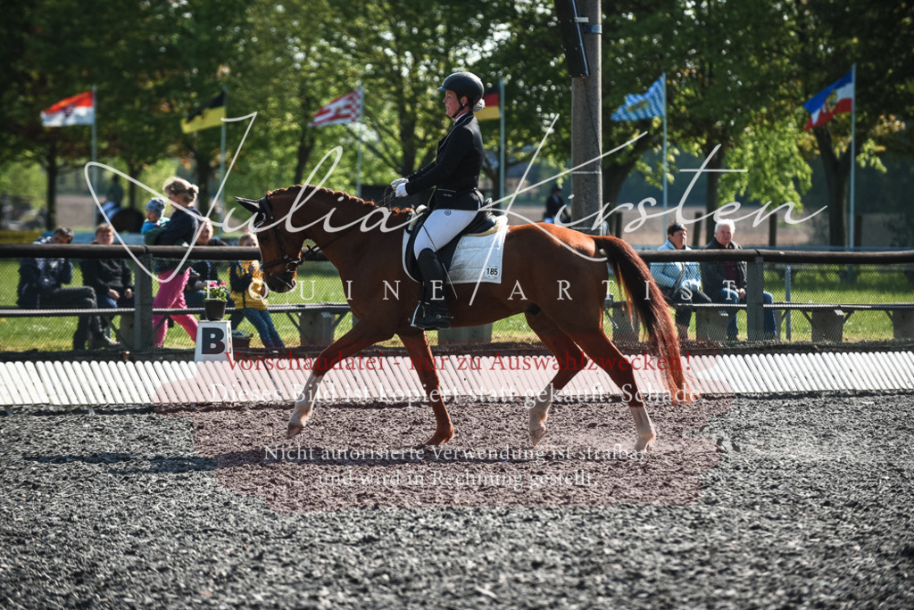 DSC_8736 | Pferde- und Turnierfotografie in Westsachsen. Pferdeportraits, Auftragszeichnungen und intuitive Kunst.