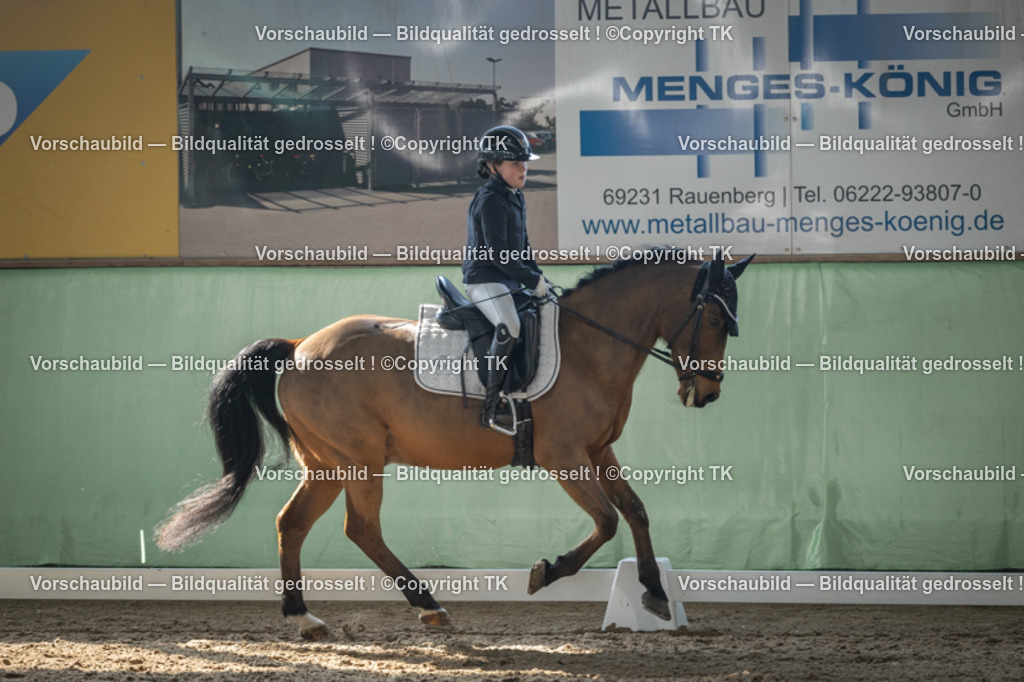 _D5A8553 | Emotionale Pferde- & People-Fotografie rund um Heidelberg, Leimen & Umgebung. Natürliche Fotos von Pferd, Mensch & Familie. Jetzt Termin sichern!
