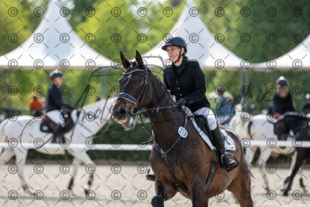 KPT_4807 | andre_photographic