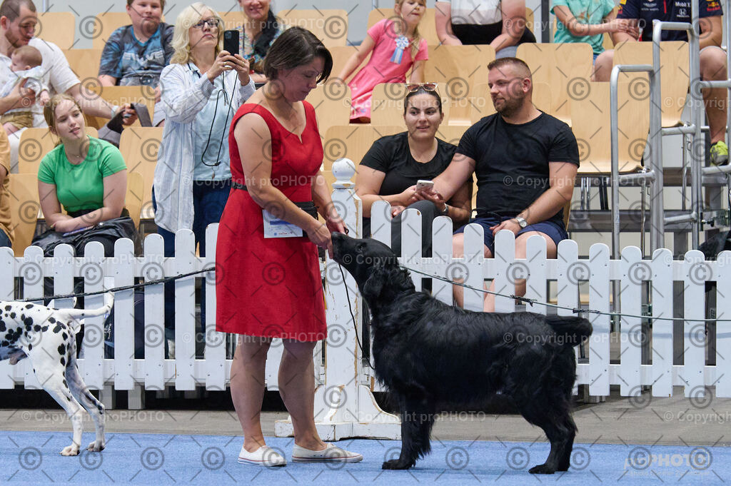 202406_ÖKV-IHA-Tulln24_DSC_4849 | proPHOTO - Realisiert mit Pictrs.com