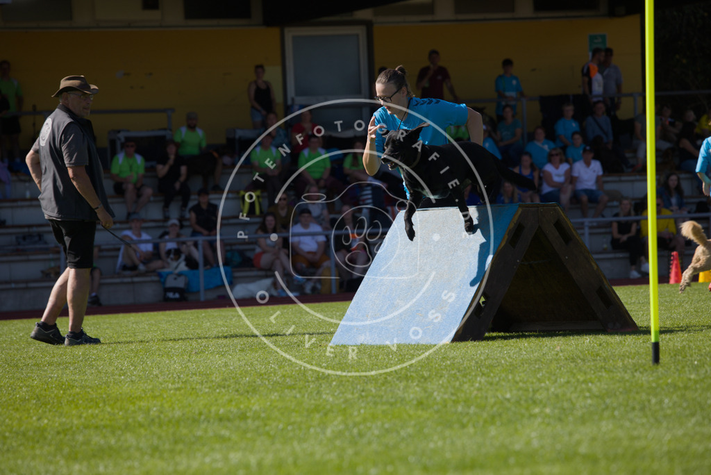 0L8A7431 | Hundefotografie, Tierfotograf, Pfotenfotografie, Fotoshooting Hund, Hunde Portrait, Hundesport, Hundeportraits, Heideshooting, Hunde, Sportfotograf, Hundefotograf, Turnierhundsport, THS,  - Realisiert mit Pictrs.com