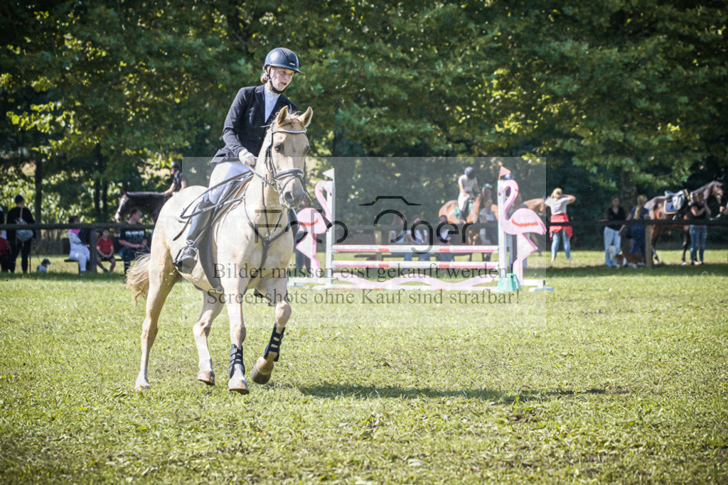 DOS_1118 | Entdecke hochwertige Reitturnierfotos von Foto Oger. Professionell, emotional und authentisch – jetzt Lieblingsmomente im Shop bestellen.Deutschlandweite Turnierfotografie. - Realisiert mit Pictrs.com