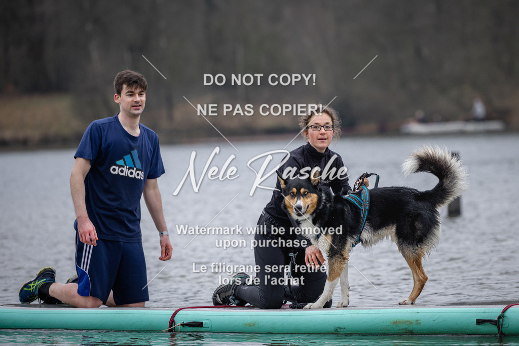 nelerasche_Hulsbeek_Sa1600-1700_151 | nelerasche