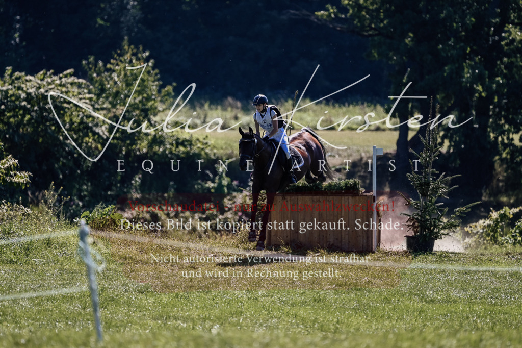 DSC_1722 | Pferde- und Turnierfotografie in Westsachsen. Pferdeportraits, Auftragszeichnungen und intuitive Kunst.