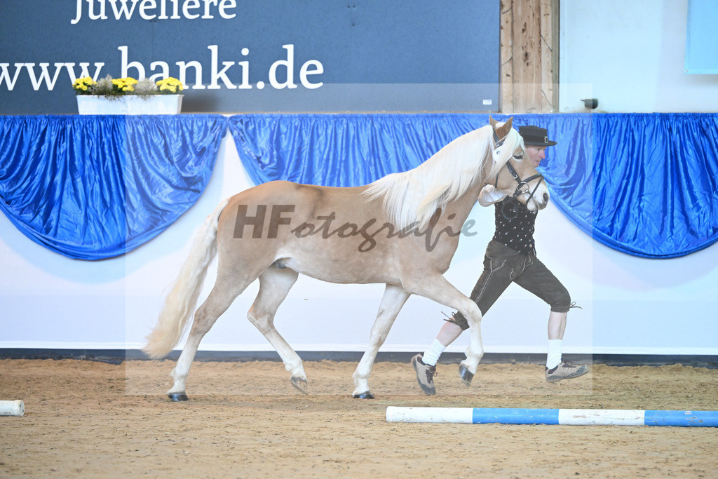Kat-Nr. 33 nn v. Neymar_Stecher_60220873 | hf-fotografie - Realisiert mit Pictrs.com