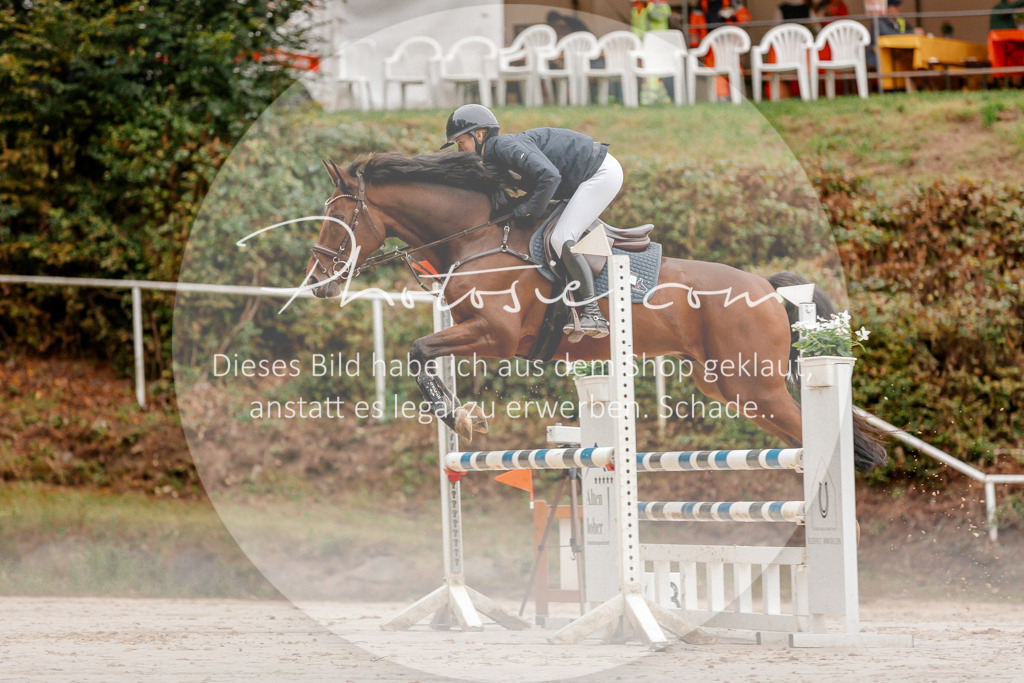 3I6A5777 | Stimmungsvolle Portraits und Reitsportfotografie im Ruhrgebiet und im Münsterland.

Pferdefotografie, Hundefotografie, Tierfotografie, Reportagen, Portraits von Tier und Mensch, Turnierfotografie in Bochum, Recklinghausen, Marl, Haltern am See, Dülmen.. - Realisiert mit Pictrs.com