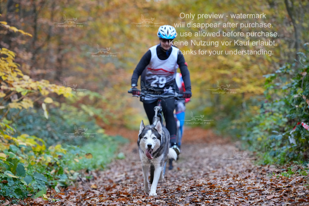 Scooter_So-66 | stephaniefillaphotographie - Realisiert mit Pictrs.com