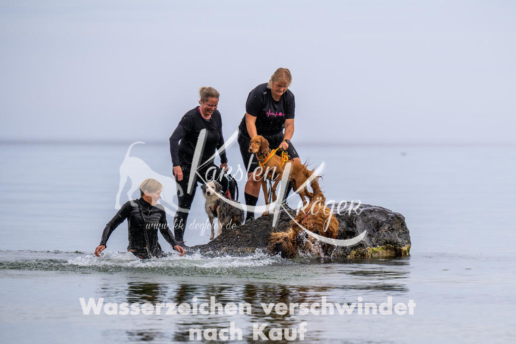 1228_ZZ91824 | kk-dogfotos