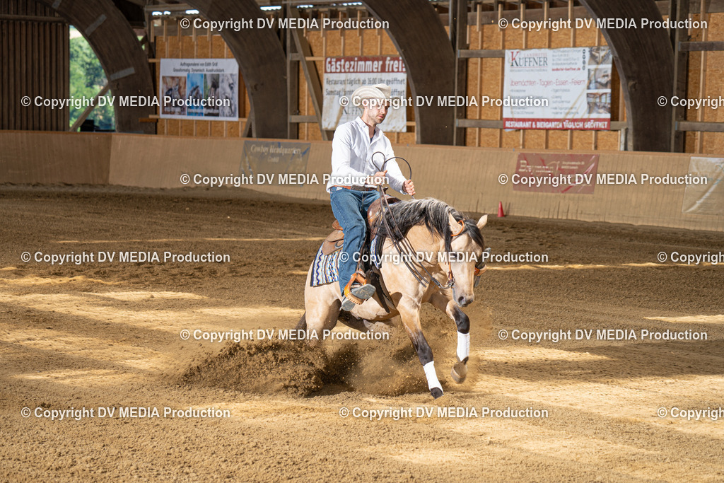 DSC00013 | dv-media-shop - Realisiert mit Pictrs.com