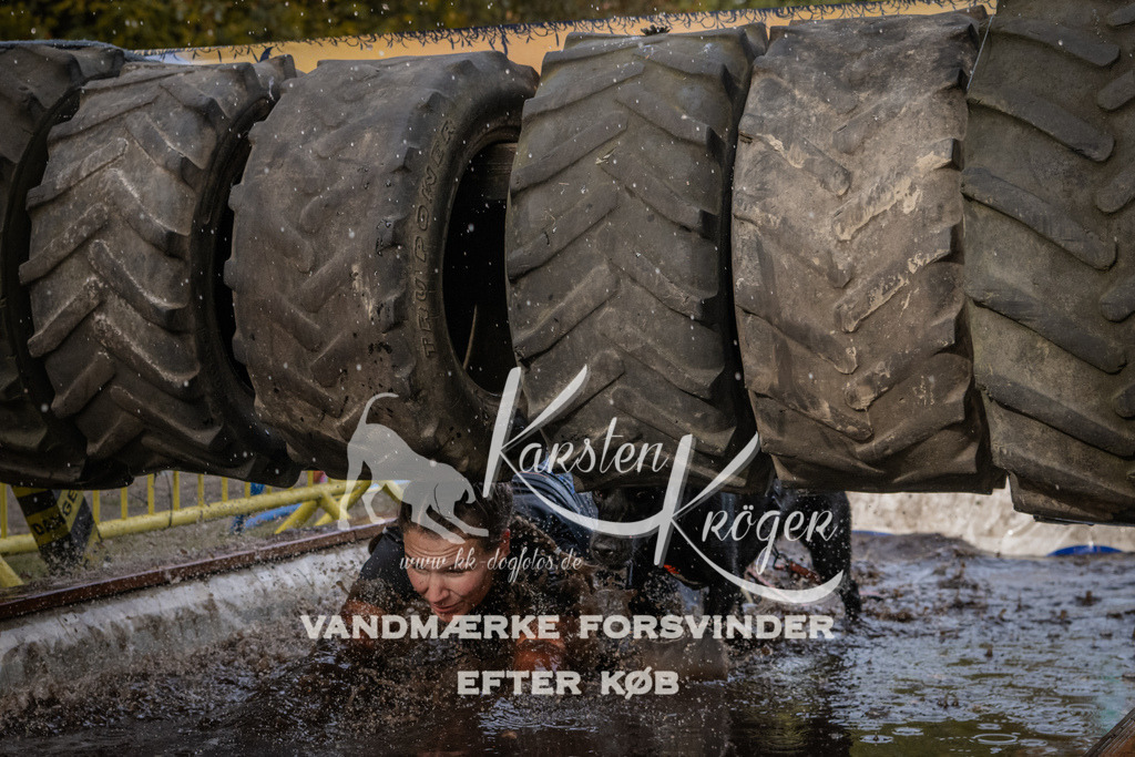 1440_ZZ94738 | kk-dogfotos