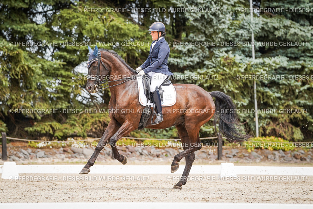 DSC05413 | Pferdegrafie