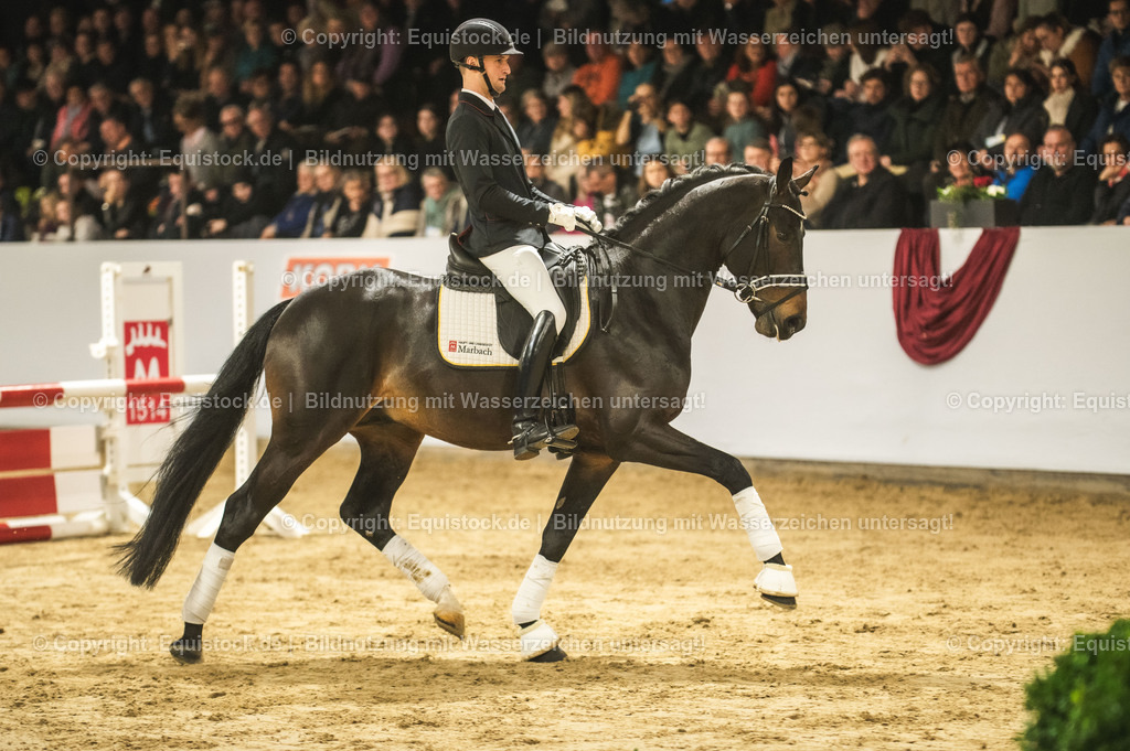 20240302_Hengstvorstellung_Marbach_TOMsPiC_0427-2 | equistock