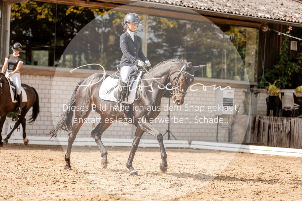 3I6A3974 | Stimmungsvolle Portraits und Reitsportfotografie im Ruhrgebiet und im Münsterland.

Pferdefotografie, Hundefotografie, Tierfotografie, Reportagen, Portraits von Tier und Mensch, Turnierfotografie in Bochum, Recklinghausen, Marl, Haltern am See, Dülmen.. - Realisiert mit Pictrs.com
