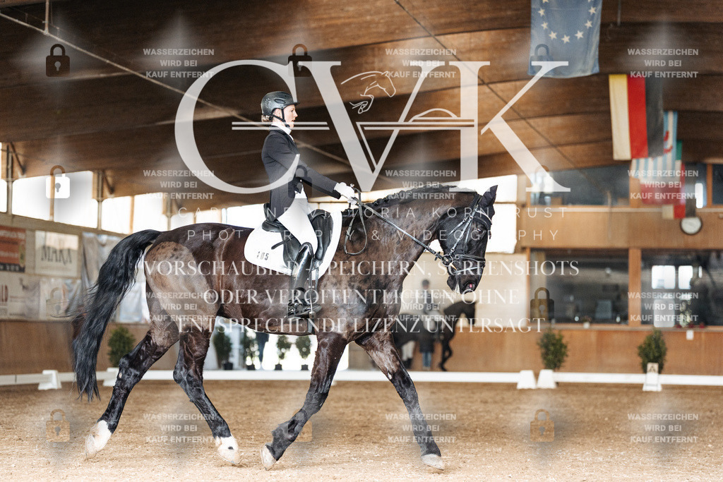 CK902119 | Turnierfotografie Pferdefotografie Trier Rheinland-Pfalz Pferdesport Reitsport Tierfotografie Sportfotografie Pferdevideo Pferdevideografie Equestrianvideography equestrianphotography  - Realisiert mit Pictrs.com