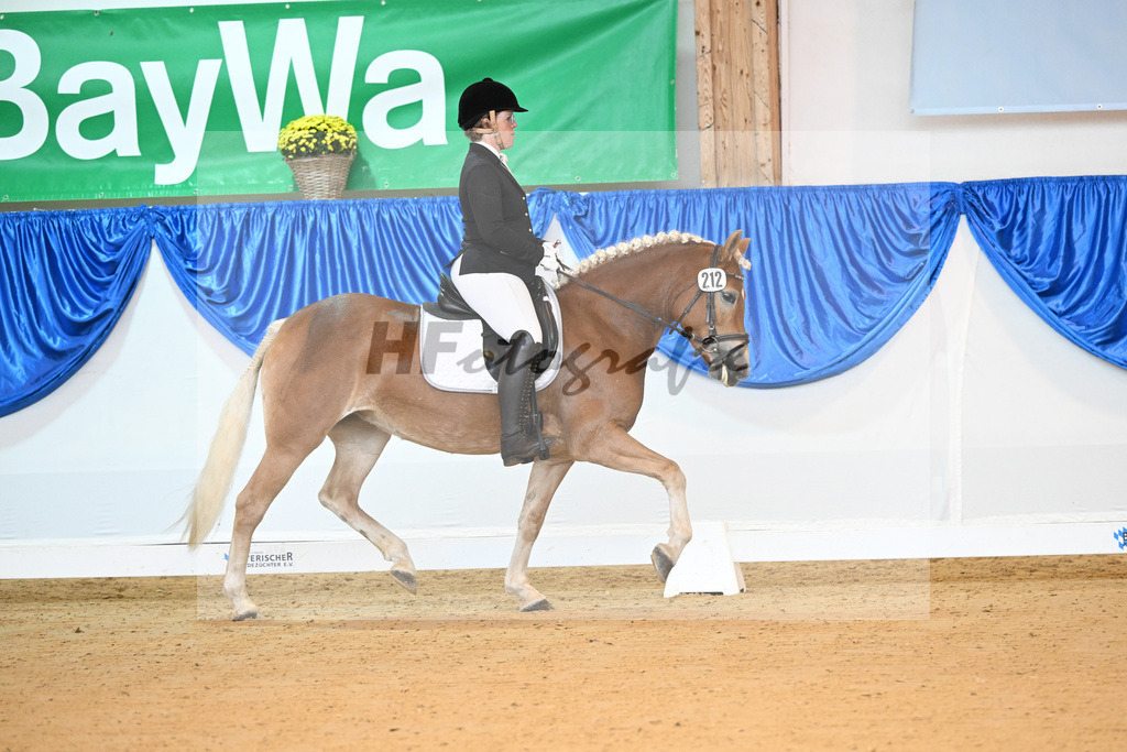 Kat-Nr. 212 Eyra_ZG Wolfgramm_54221598 | hf-fotografie - Realizzato con Pictrs.com